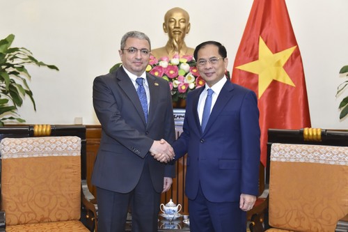 Vietnam y Azerbaiyán aceleran medidas para impulsar la cooperación multisectorial - ảnh 1