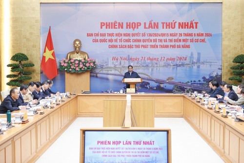 Da Nang por delante para allanar el camino hacia la construcción de una nación de libre comercio - ảnh 1