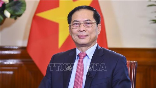 Diplomacia vietnamita avanza en la era del despegue nacional - ảnh 1