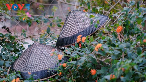 El sombrero cónico Hai Me: símbolo cultural singular de los Tay en Xuan Giang - ảnh 1