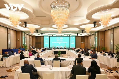 La APF adopta por unanimidad la Declaración de Can Tho - ảnh 1