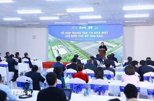 El primer ministro Pham Minh Chinh inspecciona proyectos estratégicos en Vinh Phuc - ảnh 1