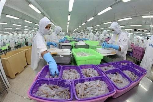 Vietnam se consolida como el segundo mayor proveedor de productos acuáticos para Brasil - ảnh 1