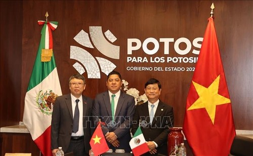 San Luis Potosí de México propone hermanarse con provincia vietnamita de Binh Duong - ảnh 1