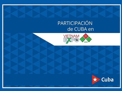 Empresas cubanas exploran nuevas oportunidades en Vietnam Expo 2025 - ảnh 1