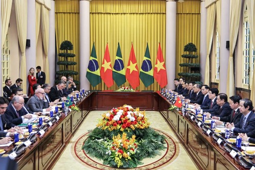 Brasil reconoce a Vietnam como economía de mercado - ảnh 1