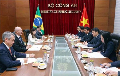 Vietnam y Brasil fortalecen la cooperación en seguridad y economía - ảnh 1