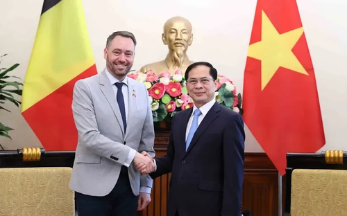 Vietnam y Bélgica consolidan cooperación en comercio, tecnología y formación - ảnh 1