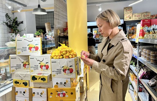 El lichi vietnamita de la cosecha 2025 llega al mercado francés - ảnh 1