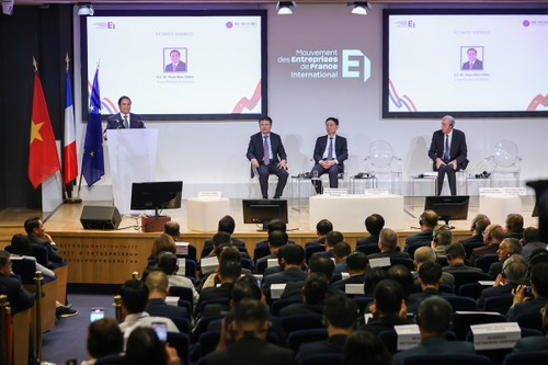 El primer ministro aboga por una cooperación estrecha entre las empresas de Vietnam y Francia - ảnh 2