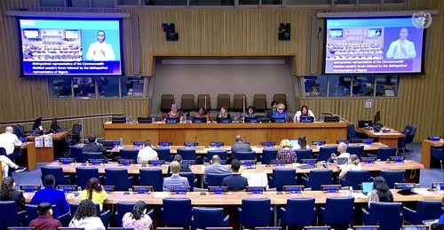 Vietnam y la ONU reafirman su compromiso con los derechos de las personas con discapacidad - ảnh 1