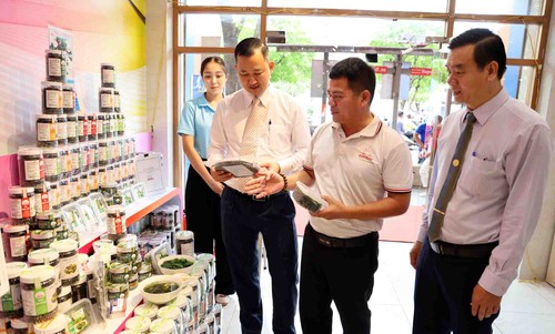 Ninh Thuan presenta sus productos en Ciudad Ho Chi Minh - ảnh 2