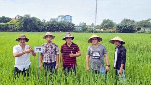 Cita de Correspondencia del 05 de julio de 2025 - ảnh 2