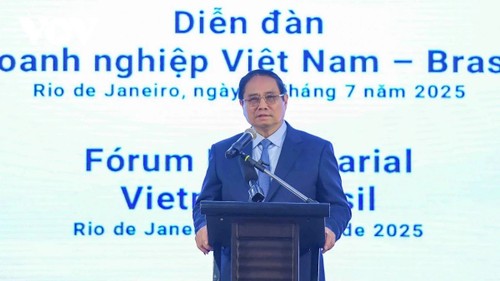 El primer ministro Pham Minh Chinh asiste al Diálogo Empresarial Vietnam-Brasil - ảnh 2