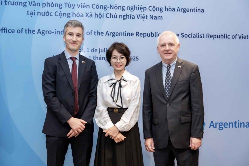 Vietnam, socio primordial en la política de integración internacional de Argentina - ảnh 3