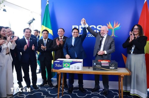 Vietnam y Brasil: una conexión estratégica para la cooperación global - ảnh 1