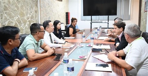 Vietnam y Cuba impulsan cooperación en medios de comunicación - ảnh 1