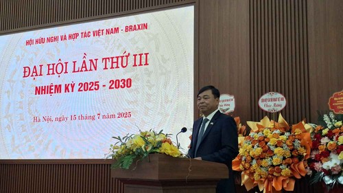 Vietnam y Brasil fortalecen su cooperación integral en el nuevo contexto internacional - ảnh 3