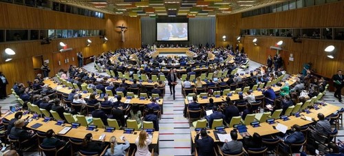 Arranca en Nueva York la conferencia internacional sobre el conflicto israelí-palestino - ảnh 1