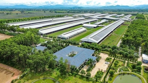 Vinamilk, entre las diez grandes marcas lácteas del mundo - ảnh 1