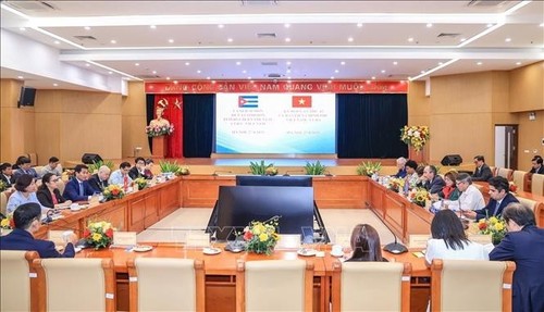 Vietnam y Cuba impulsan cooperación económica en tres sectores prioritarios - ảnh 1