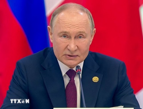 Rusia plantea prorrogar el tratado nuclear Nuevo START - ảnh 1