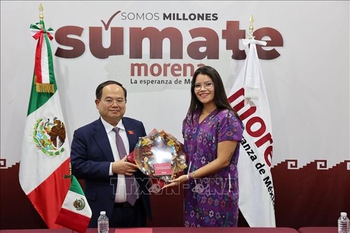 Vietnam reafirma su visión estratégica en foro internacional de partidos de izquierda - ảnh 3