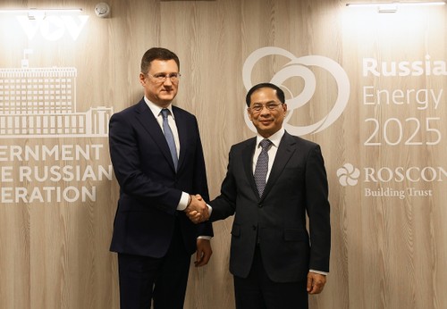 El Gobierno ruso, comprometido a acelerar el cumplimiento de los acuerdos alcanzados con Vietnam - ảnh 1