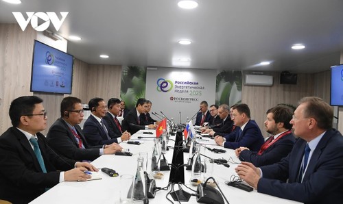 El Gobierno ruso, comprometido a acelerar el cumplimiento de los acuerdos alcanzados con Vietnam - ảnh 2