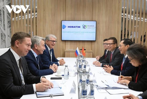 El Gobierno ruso, comprometido a acelerar el cumplimiento de los acuerdos alcanzados con Vietnam - ảnh 3