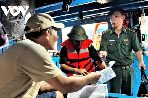 Quang Ngai intensifica la lucha contra la pesca ilegal - ảnh 1