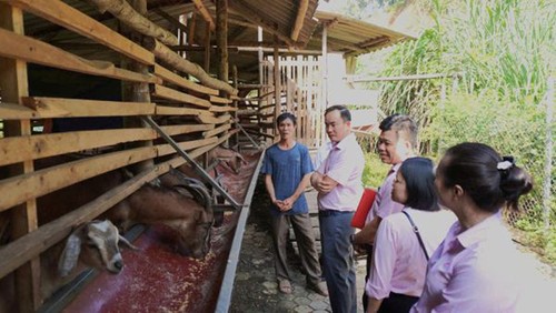 Fondo de préstamo a tasa preferencial en Thai Nguyen: Llave del éxito para erradicar la pobreza - ảnh 1