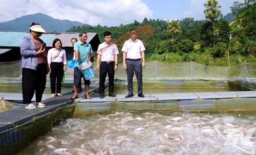 Fondo de préstamo a tasa preferencial en Thai Nguyen: Llave del éxito para erradicar la pobreza - ảnh 3