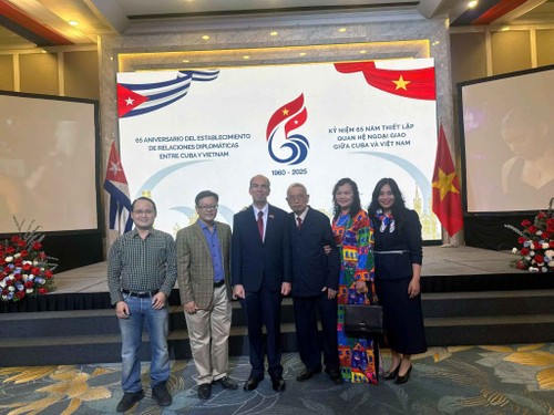 Hanói conmemora el 65.º aniversario de las relaciones diplomáticas Vietnam - Cuba - ảnh 3