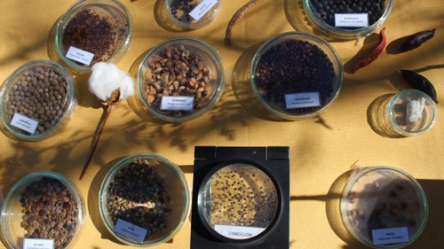 El CPTPP impulsa la competitividad de los productos vietnamitas en el mercado chileno - ảnh 3