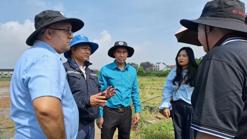 Semillas de oro vietnamitas se arraigan en la tierra roja de Cuba - ảnh 3
