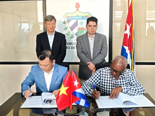 Semillas de oro vietnamitas se arraigan en la tierra roja de Cuba - ảnh 1