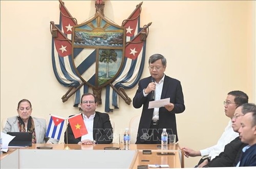 Cuba y Vietnam continúan fortaleciendo su solidaridad y amistad especial - ảnh 1