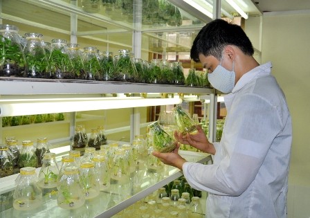 La importancia de la investigación científico-tecnológica en la construcción del Nuevo Campo - ảnh 1