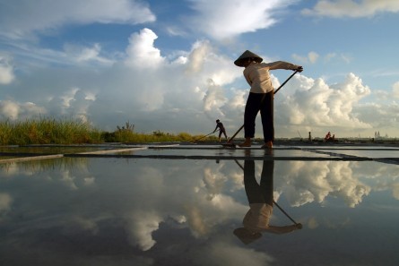 La belleza de las trabajadoras vietnamitas  - ảnh 5