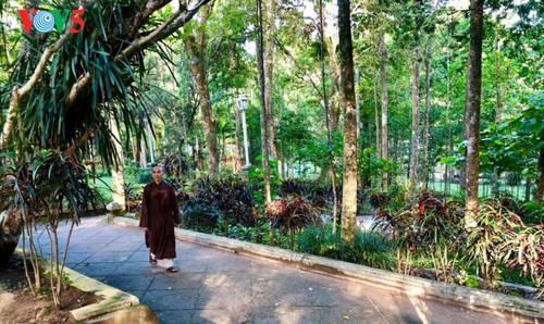 La mística belleza de la pagoda Tu Hieu, en la ciudad de Hue - ảnh 6