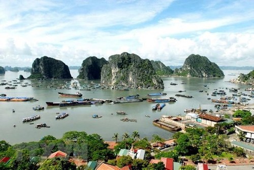 Exhibición sobre Bahía de Ha Long a lo largo del tiempo - ảnh 1