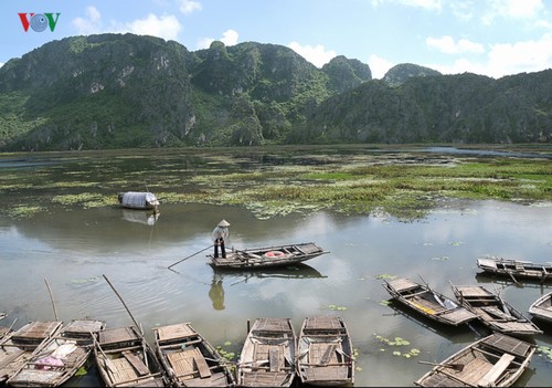  La magnífica belleza de la Reserva Natural de Van Long   - ảnh 2