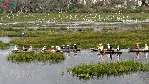  La magnífica belleza de la Reserva Natural de Van Long   - ảnh 5