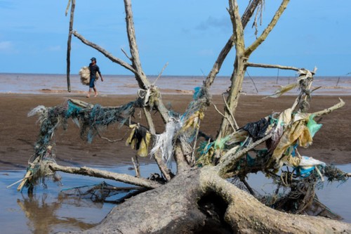 “Salvemos nuestro mar - Solo la acción trae cambios” - ảnh 5