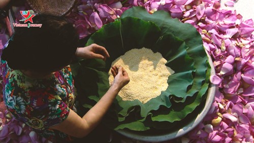 Flores de loto deslumbran a visitantes en verano - ảnh 8