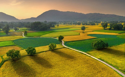 Las 10 fotos ganadoras del concurso “Vietnam visto desde arriba” - ảnh 9