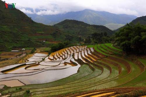 Mu Cang Chai nombrado entre los 50 lugares más bellos del mundo  - ảnh 7