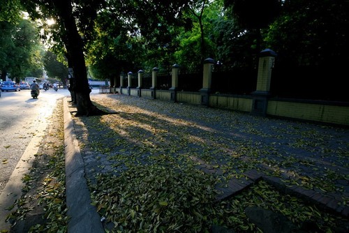 Memoria de Hanói a través de obras fotográficas de Le Bich - ảnh 3