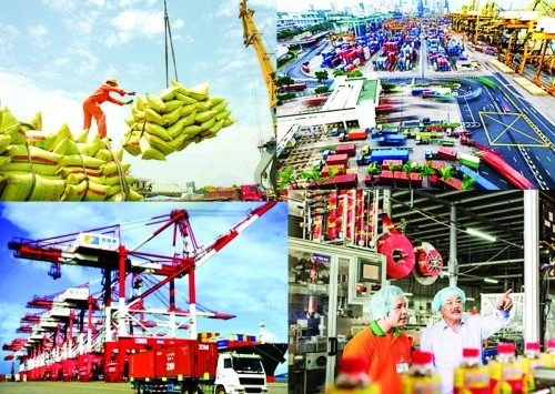 El panorama de la economía vietnamita en 2019 - ảnh 1